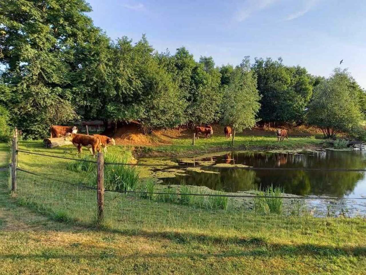 Boertel Lamperse Hei Hotel Wanroij Екстериор снимка